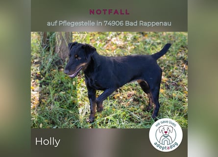 Holly: sucht DRINGEND ihre Endstelle zum Ankommen in 74906 Bad Rappenau