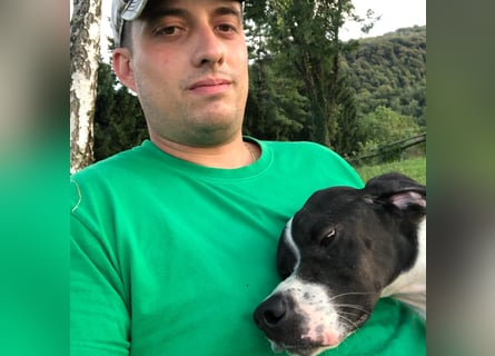 Stella  - RESERVIERT - glücklich mit Menschen - sagt Nein zur Jagd