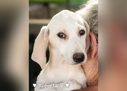 Roberta und Robbie, f.,  suchen eine Familie