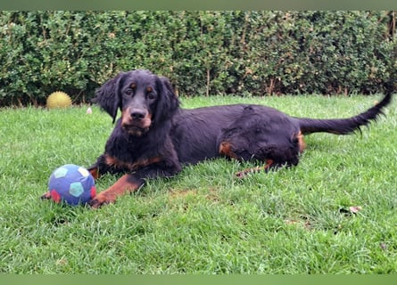 Die liebenswerte anschmiegsame Sheila sucht Lebenspartner