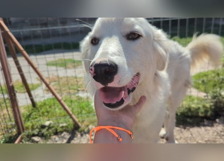 Zauberhafte Skadi, bekommt sie trotz Handicap eine Chance?