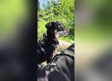 Neues Zuhause für Milo