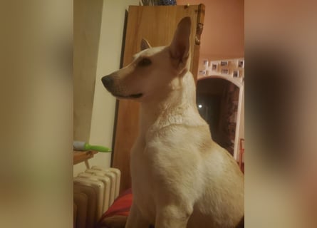 Mila, erwachsene Frau der vielen Facetten