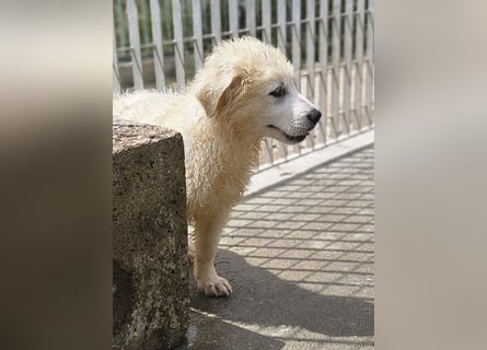 Miracola: kleine Zaubermaus sucht Dich