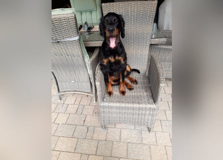 Die liebenswerte anschmiegsame Sheila sucht Lebenspartner