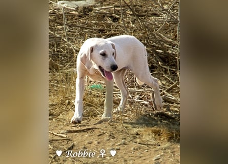 Roberta und Robbie, f.,  suchen eine Familie
