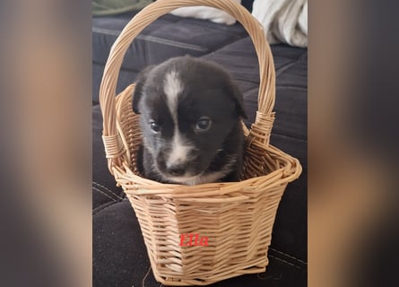 Sie sind endlich da 4 Mädels und 5 Jungs