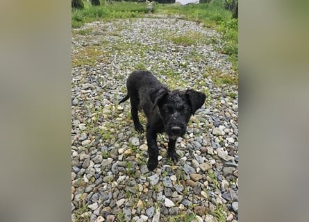 Eléa – Kleine Entdeckerin mit großem Herz sucht Zuhause