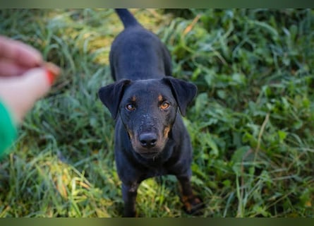 Holly: sucht DRINGEND ihre Endstelle zum Ankommen in 74906 Bad Rappenau