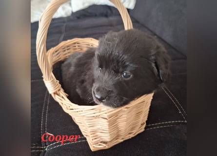 Sie sind endlich da 4 Mädels und 5 Jungs