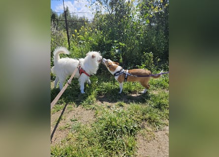Larry und Jack: 2 wie Pech und Schwefel