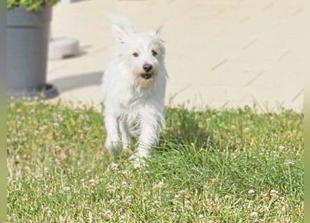 Larry: freut sich auf Besuch nahe Bonn