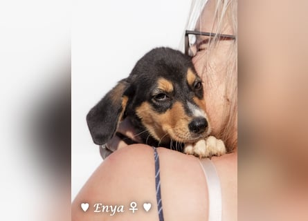 Jackie/Enya sucht ihre Familie ab Oktober