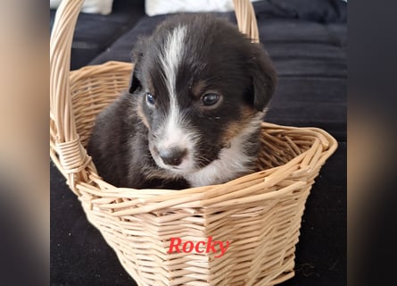 Sie sind endlich da 4 Mädels und 5 Jungs