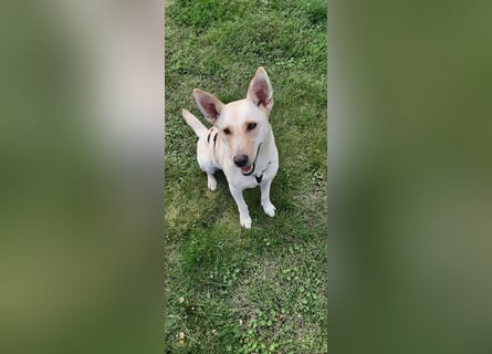 Mila, erwachsene Frau der vielen Facetten