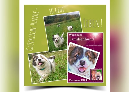 Welpe, Hund, Mischling, Rasse - Erziehung zum Familienhund - einfach gemacht