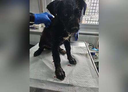 Eléa – Kleine Entdeckerin mit großem Herz sucht Zuhause