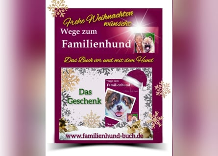 Vor und mit dem Welpen, Junghund, erwachsenen Hund: Das Buch Wege zum Familienhund