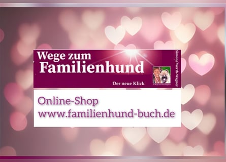 Welpe, Hund, Mischling, Rasse - Erziehung zum Familienhund - einfach gemacht