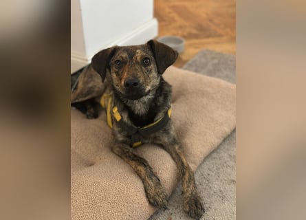 Paco: freut sich über Besuch in Bremen