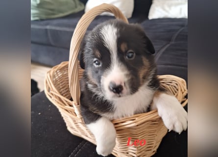 Sie sind endlich da 4 Mädels und 5 Jungs