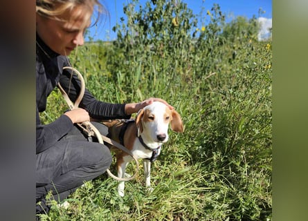 Settimo: wer will mein Freund sein?
