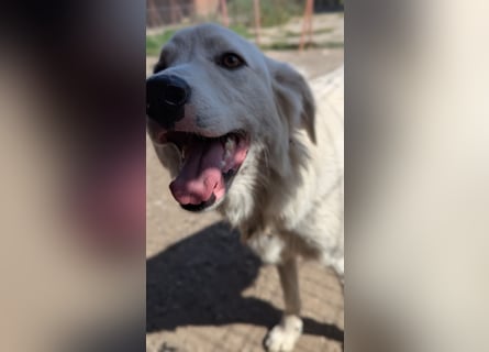 Zauberhafte Skadi, bekommt sie trotz Handicap eine Chance?
