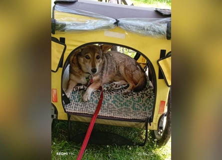 Lucia-Seniorin sucht Senioren-WG!