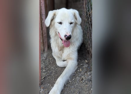 Zauberhafte Skadi, bekommt sie trotz Handicap eine Chance?