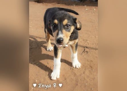 Jackie/Enya sucht ihre Familie ab Oktober