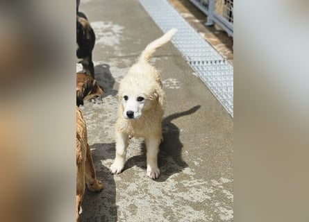 Miracola: kleine Zaubermaus sucht Dich