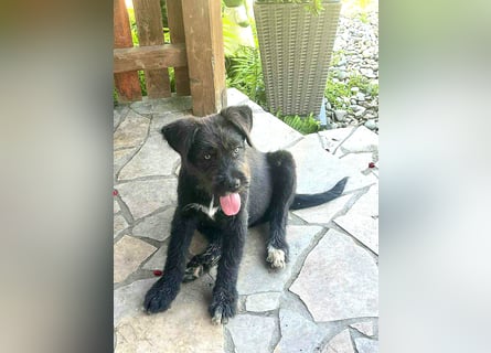 Eléa – Kleine Entdeckerin mit großem Herz sucht Zuhause