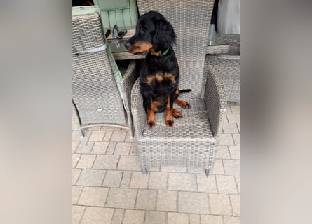 Die liebenswerte anschmiegsame Sheila sucht Lebenspartner