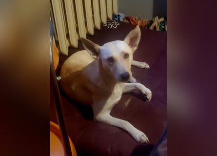 Mila, erwachsene Frau der vielen Facetten