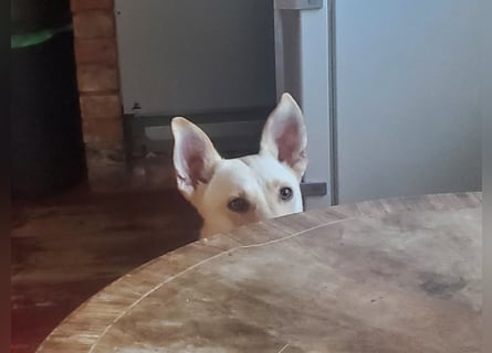 Mila, erwachsene Frau der vielen Facetten