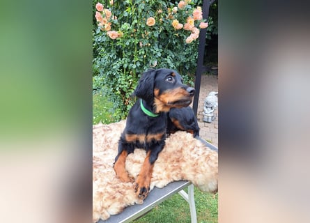 Die liebenswerte anschmiegsame Sheila sucht Lebenspartner