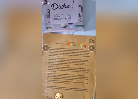 2020, 2025 waren tolle Würfe, 2026 plane ich erneut 1 Wurf  Labradoodlewelpen F1bb in crem