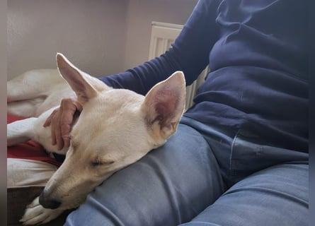 Mila, erwachsene Frau der vielen Facetten