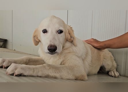 Tesorina: sie will spielen, lernen, schmusen