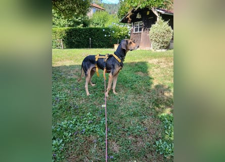 Jo:  sein Blick sagt: "Hab mich lieb"
