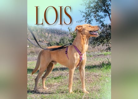 Lois – aktiv und sportlich
