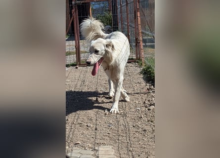 Zauberhafte Skadi, bekommt sie trotz Handicap eine Chance?
