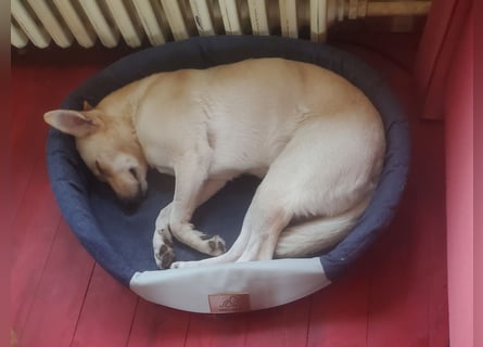 Mila, erwachsene Frau der vielen Facetten