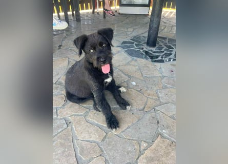 Eléa – Kleine Entdeckerin mit großem Herz sucht Zuhause
