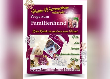 Vor und mit dem Welpen, Junghund, erwachsenen Hund: Das Buch Wege zum Familienhund