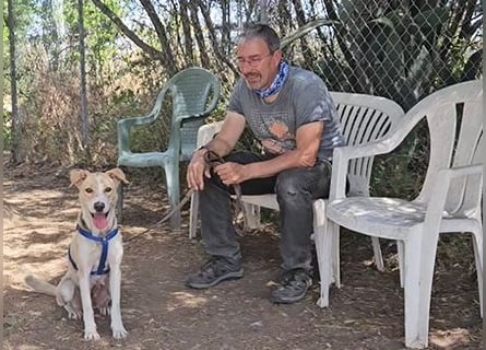 Lucy: tolle Familienhündin in schöner Größe