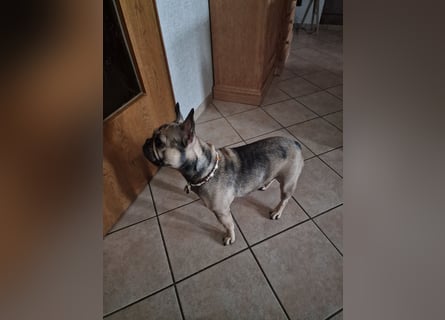 Liebevolles Zuhause gesucht