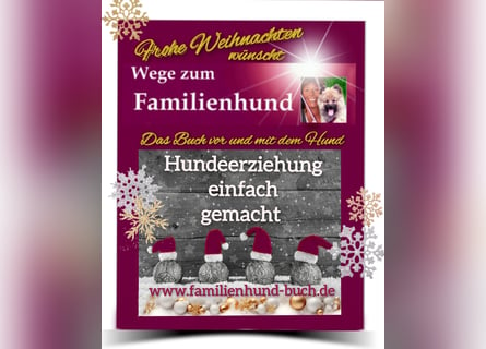 Vor und mit dem Welpen, Junghund, erwachsenen Hund: Das Buch Wege zum Familienhund