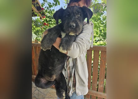 Eléa – Kleine Entdeckerin mit großem Herz sucht Zuhause