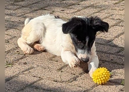 Lui wartet in 97499 Traustadt